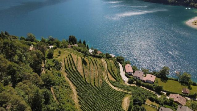 Lake Ledro: Wein-Picknick mit atemberaubendem Seeblick