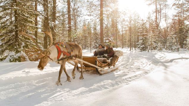 Lawatan Sehari Rovaniemi Finland: Muzium Artik + Sled Haiwan Berkembar + Kampung Krismas [Tur Bahasa Cina]