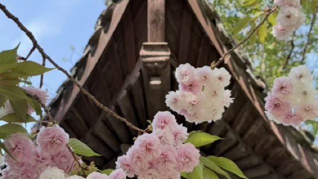 Round-trip from Shanghai: Private Charter 1-Day Tour to Wuxi, Jiangsu | Customizable Itinerary | Foreign Guests Welcome