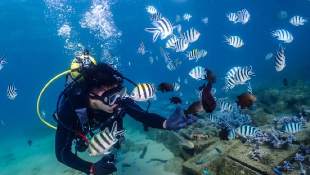 2-Hour Diving Experience in Penghu Islands: Scuba Diving | Ocean Education | Poseidon Marine Sports Club