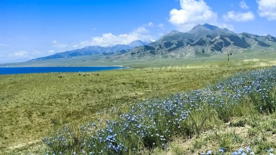Lawatan Sehari Tasik Sayram + Bas Ekspres/Bas Ekspres Mewah Pintu Negara