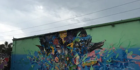 美國邁阿密-溫伍德-維茲卡亞-小哈瓦那一日包車輕享遊不含票
