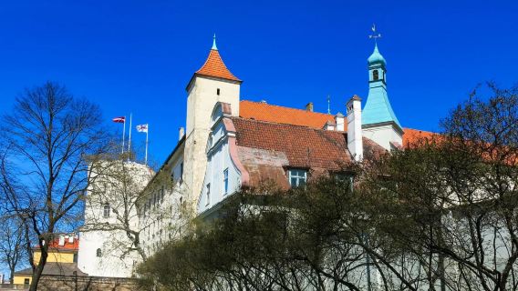 Latvia: Riga Castle + Ethnographic Open-Air Museum + Riga Motor Museum ※ customizable