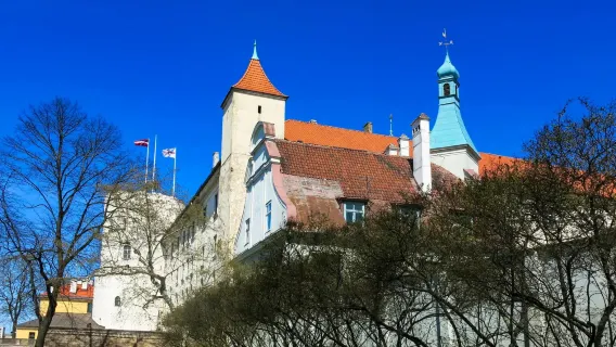 Latvia: Riga Castle + Ethnographic Open-Air Museum + Riga Motor Museum ※ customizable