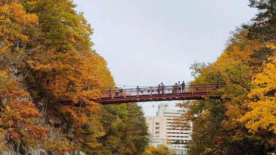 日本札幌-洞爺湖-羊蹄山-定山溪溫泉【中文包車-舒適純淨】
