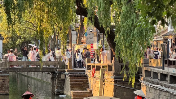 Suzhou Day Tour - Tiger Hill, Lion Grove Garden, Shantang Street, Pingjiang Road