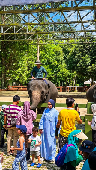From Kuala Lumpur: Elephant, Waterfall, and Orang Asli Tour