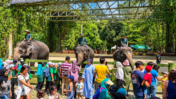 Từ Kuala Lumpur: Tour Voi, Thác nước và Orang Asli