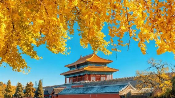 Entrébiljett till Kejserliga palatsets museum + guidad tur/elektronisk flerspråkig guidning + traditionell pekingdessert "Åsnedans"