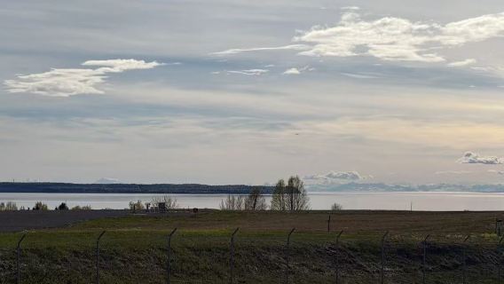 Anchorage, Alaska, Amerika Syarikat | Pusat Pemuliharaan Hidupan Liar Teluk Turnagain lawatan sehari tanpa tiket