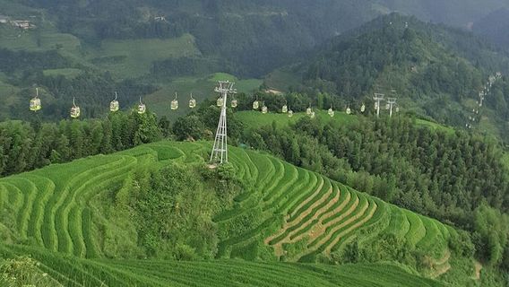 LongshengTours