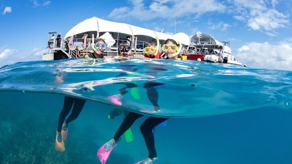 CairnsTours