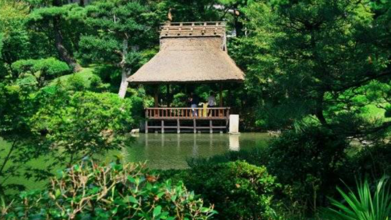 YamaguchiTravel Services