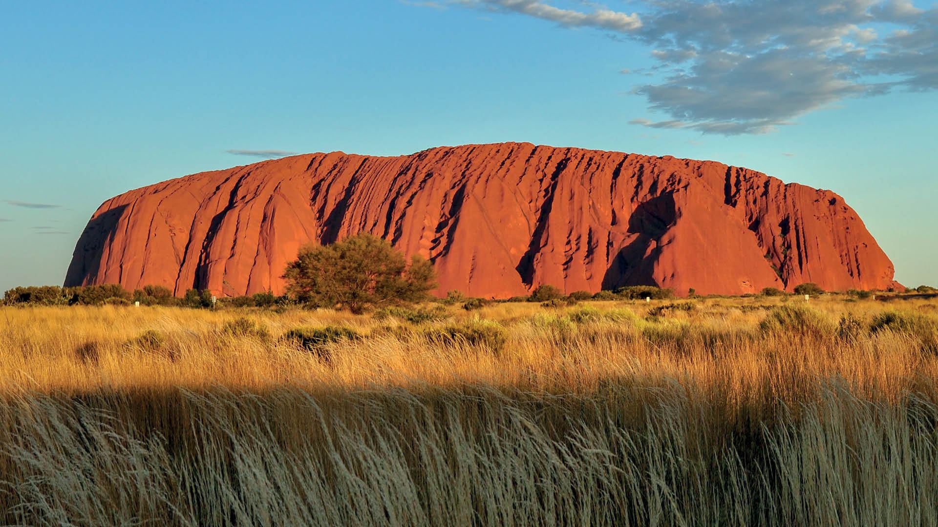 Uluru-Kata Tjuta National Park half-day tour [Rock circumnavigation, sunset viewing, hotel transfers]