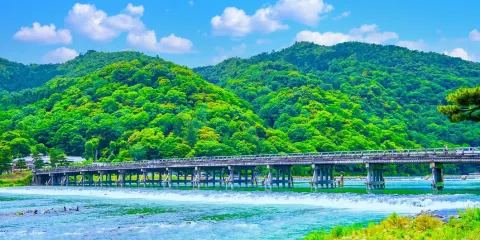 京都嵐山+邂逅奈良萌鹿+漫步伏見稻荷一日遊,嵯峨野,渡月橋