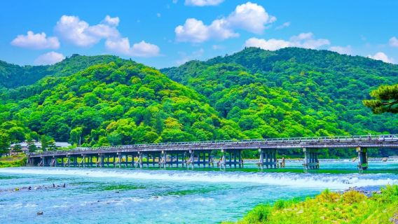 Arashiyama Kyoto, Sagano Scenic Railway + Nara Park + Fushimi Inari Taisha 1-day tour