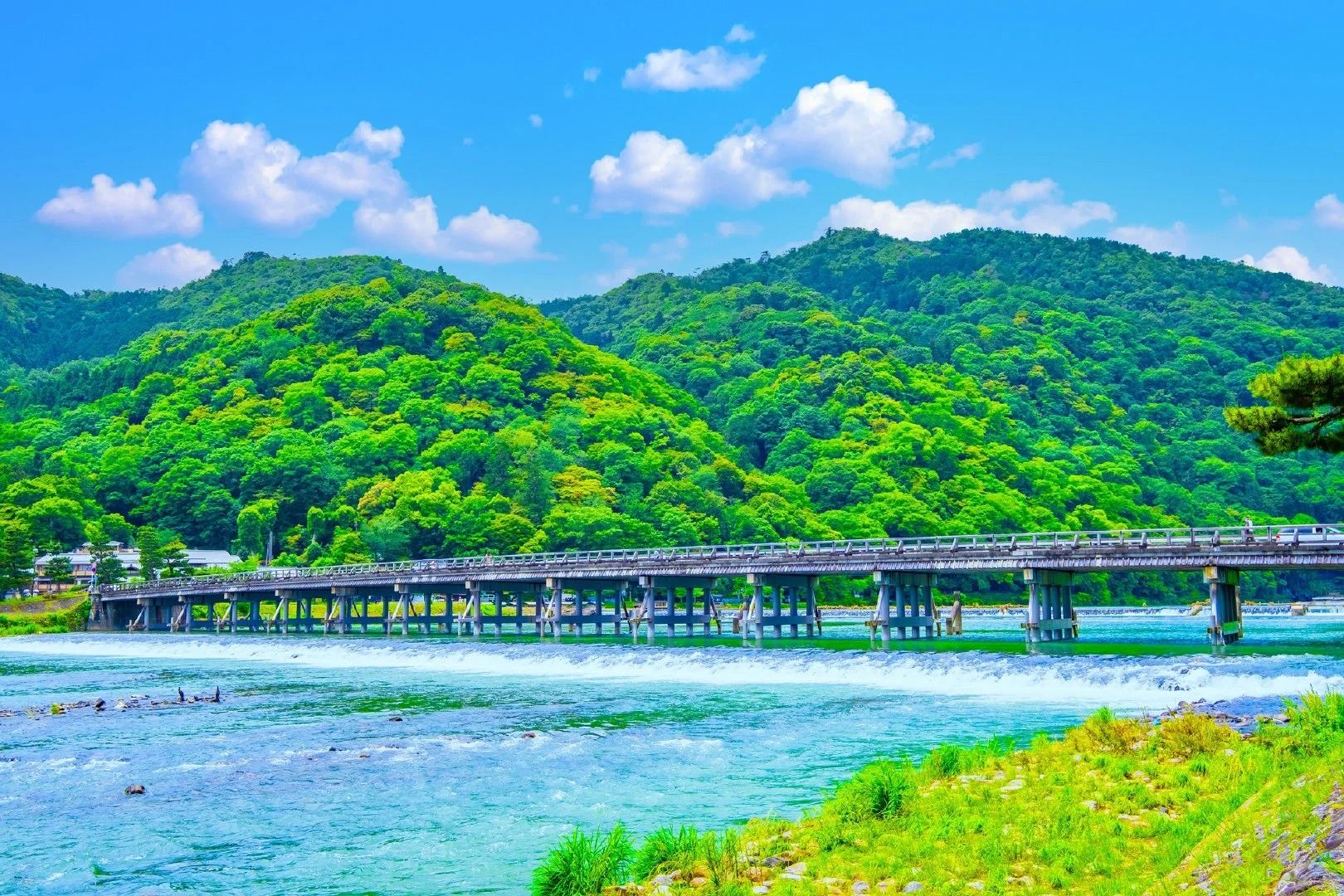 tour di un giorno a Kyoto, Arashiyama, incontro con i teneri cervi di Nara e passeggiata a Fushimi Inari, Sagano, Togetsukyo