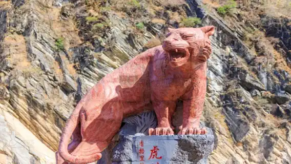 Depart from Lijiang: Shangri-La, Tiger Leaping Gorge, Dukezong, and Napahai (Yila Grassland) Day Tour