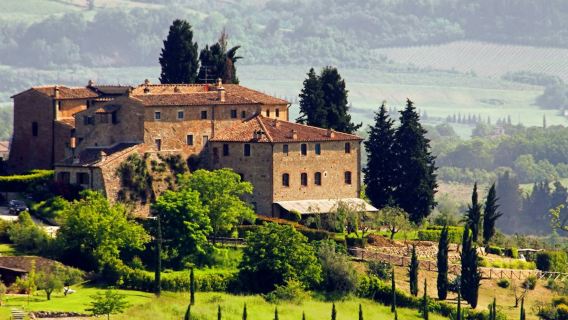 Tuscan Countryside: Day Trip from Rome with Lunch