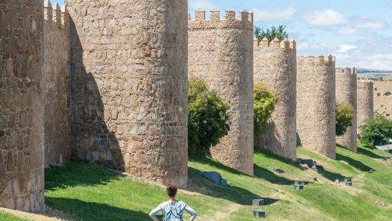 Ávila y Salamanca: Excursión de un día desde Madrid