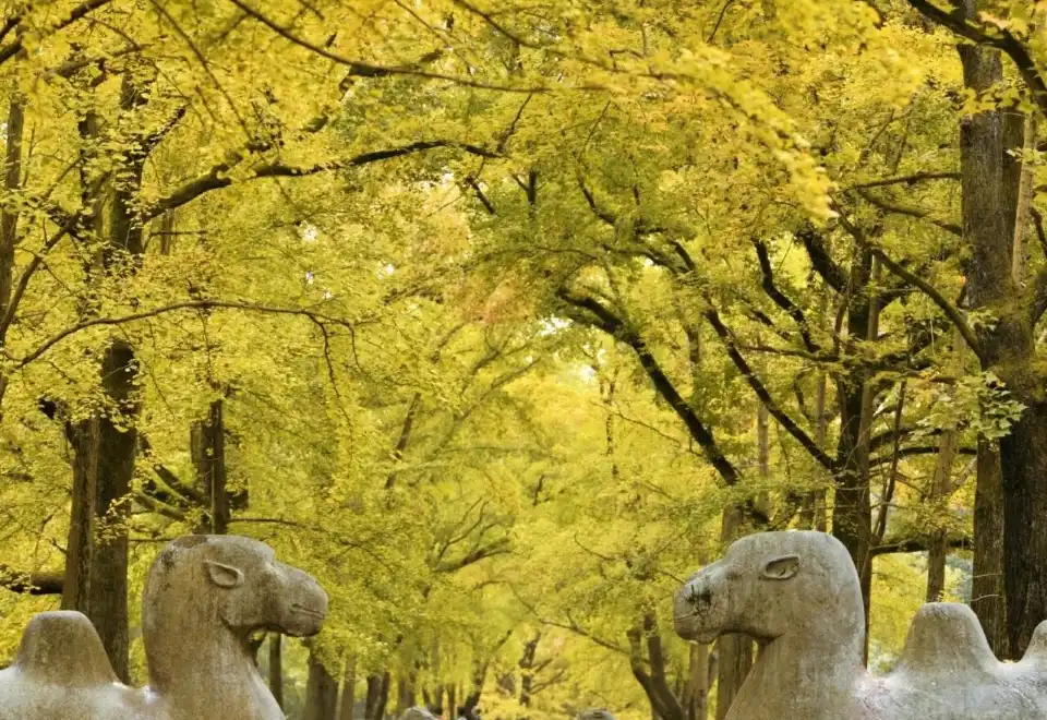Welcome New York Times Square Countdown Ceremony VIP Pass