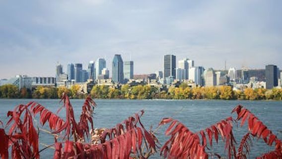 MontrealTours