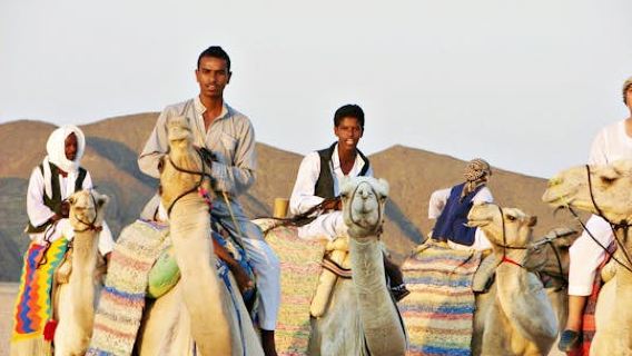 Quad experience with camel ride in the desert of Marsa Alam