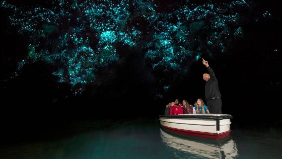 New Zealand North Island Waitomo Glowworm Caves Half Day Tour - New Zealand Must-visit landmark attractions - Thousand-year-old mysterious New Zealand glowworm cave exploration