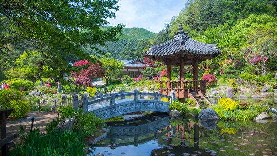 Excursion d'une journée à l'île de Nami, au Jardin botanique de Morning Calm et au vélo rail de Gangchon (départ de Séoul)