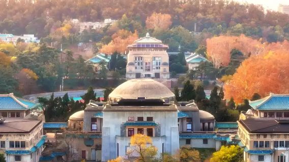 Wuhan one-day tour: Yellow Crane Tower Attractions Customizable|One order group|private charter|Multilingual guide G