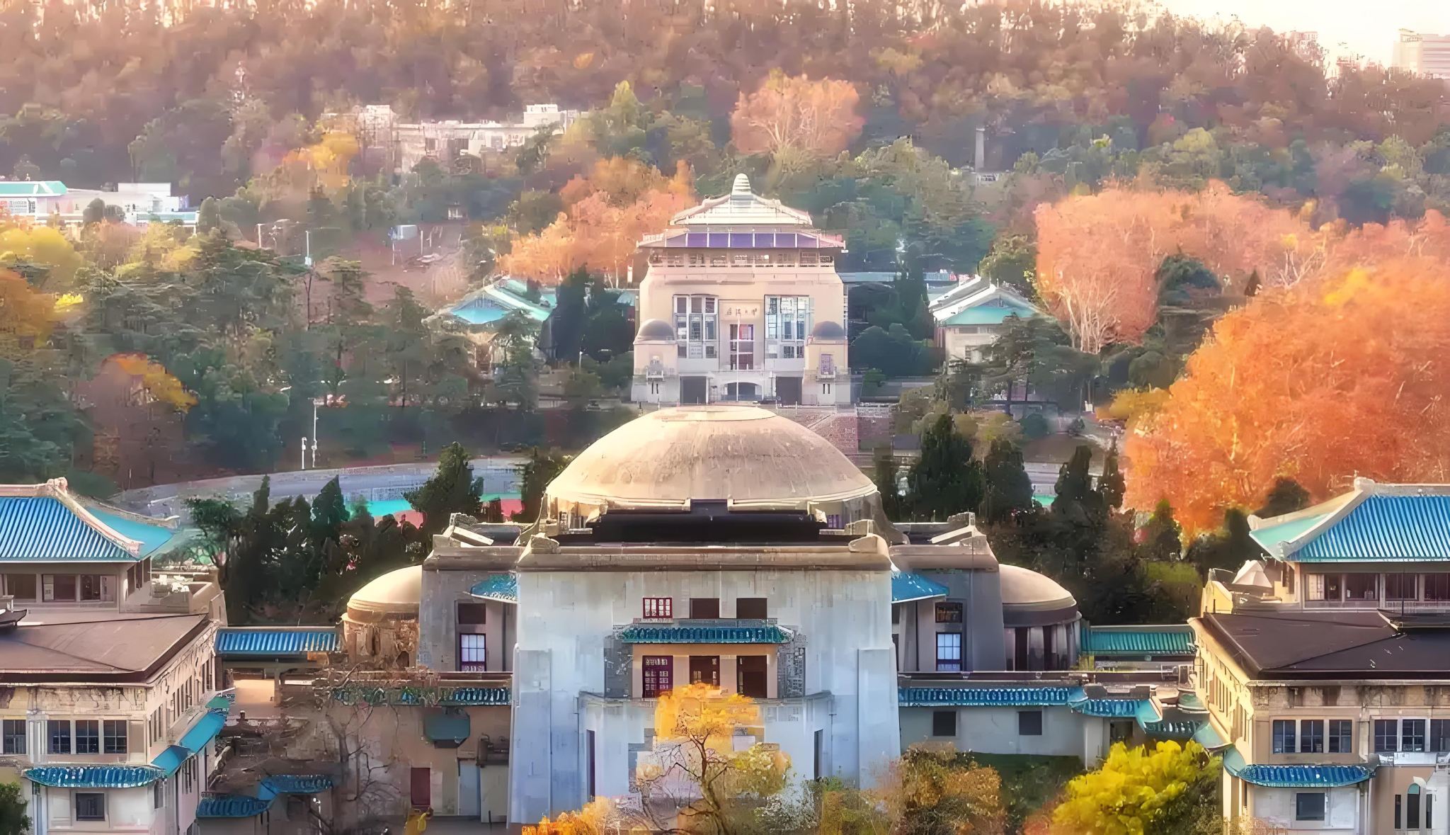 Tour di un giorno a Wuhan: la Torre della Gru Gialla, attrazioni personalizzabili|Un ordine, un gruppo|noleggio con conducente esclusivo|Guida multilingue G
