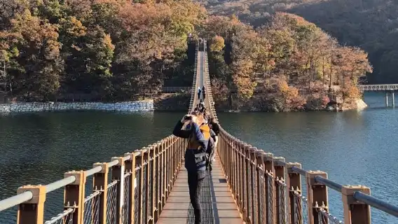 Korea DMZ Tour (North Korean Meet up&Suspension Bridge optional)