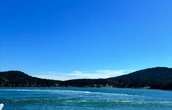 加拿多倫多市區一日遊/行程可調-中文包車