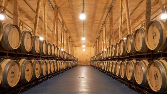 Winery Tour and Wine Tasting at Bodega Bela in Villalba de Duero