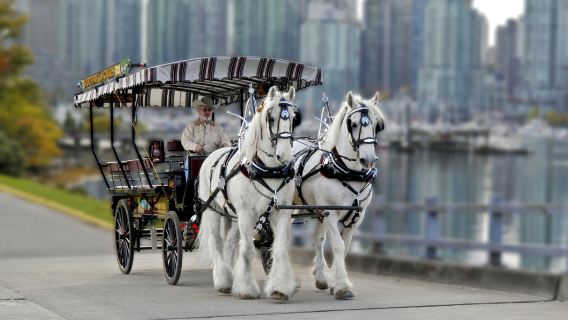 VancouverTours
