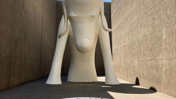 青森日遊