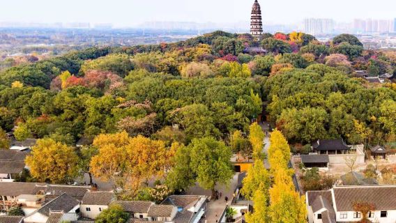 Suzhou Private Guided 1-Day Tour: Tiger Hill, Master of the Nets Garden, Canglang Pavilion, Panmen Gate, Guanqian Street