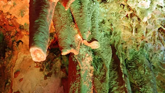 Perjalanan satu hari dengan sewa kendaraan pribadi ke tempat wisata Gua Panlong Yunfu + Gunung Kincir Angin + Taman Ekologi Gunung Xiangwo - Layanan dalam bahasa Cina dan Inggris tersedia