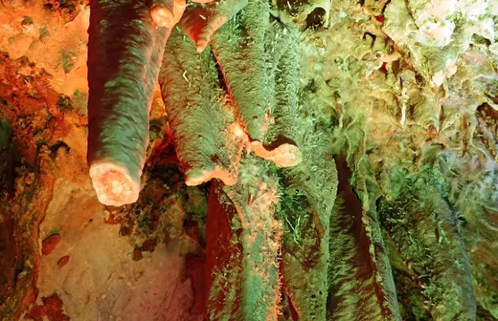 雲浮蟠龍洞景區+ 風車山+象窩山生態園包車一日遊可中英文服務