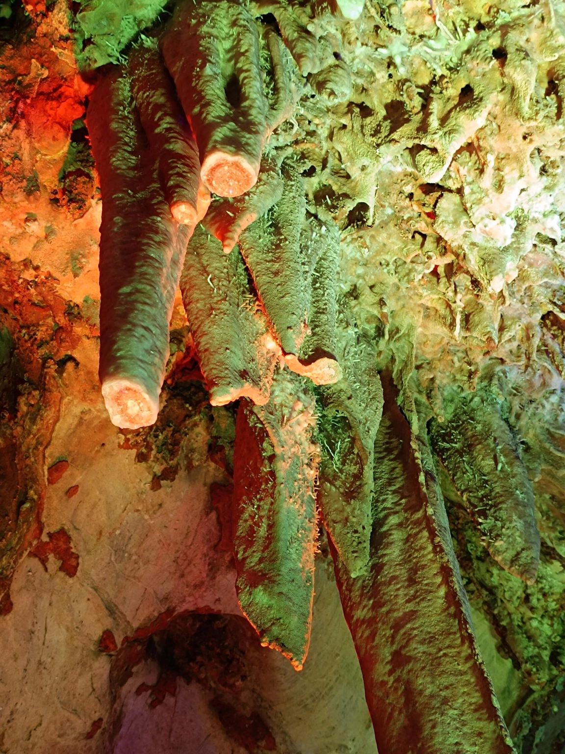 Eendaagse tour met gecharterde autovervoer naar Yunfu Panlonggrot Attractie + Windmolenberg + Xiangwo Berg Ecologisch Park - Engelstalige service mogelijk