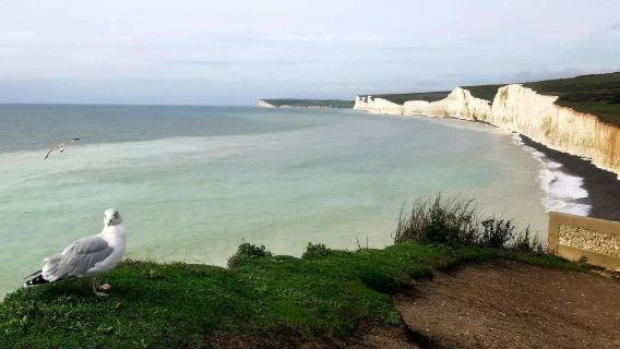 1-day private charter tour from London to Brighton + Seven Sisters Cliffs + Beachy Head (Chinese-speaking driver)