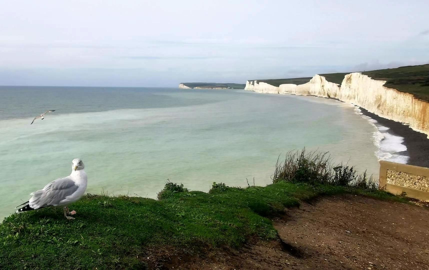 London - Brighton - Seven Sisters Cliffs - Beachy Head Classic Route VIP Private Charter Day Tour