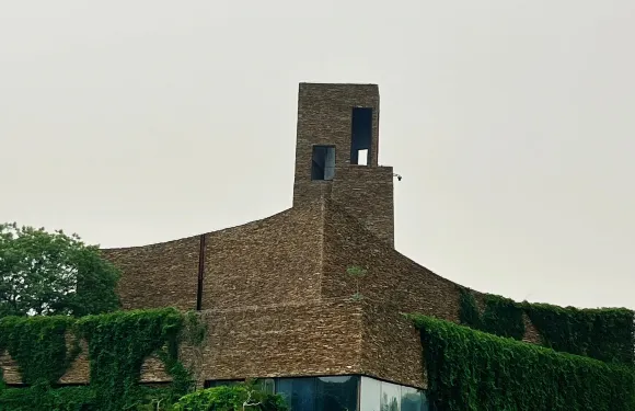 宿遷三台山森林公園+駱馬湖+古黃河水景公園一日遊中英文服務