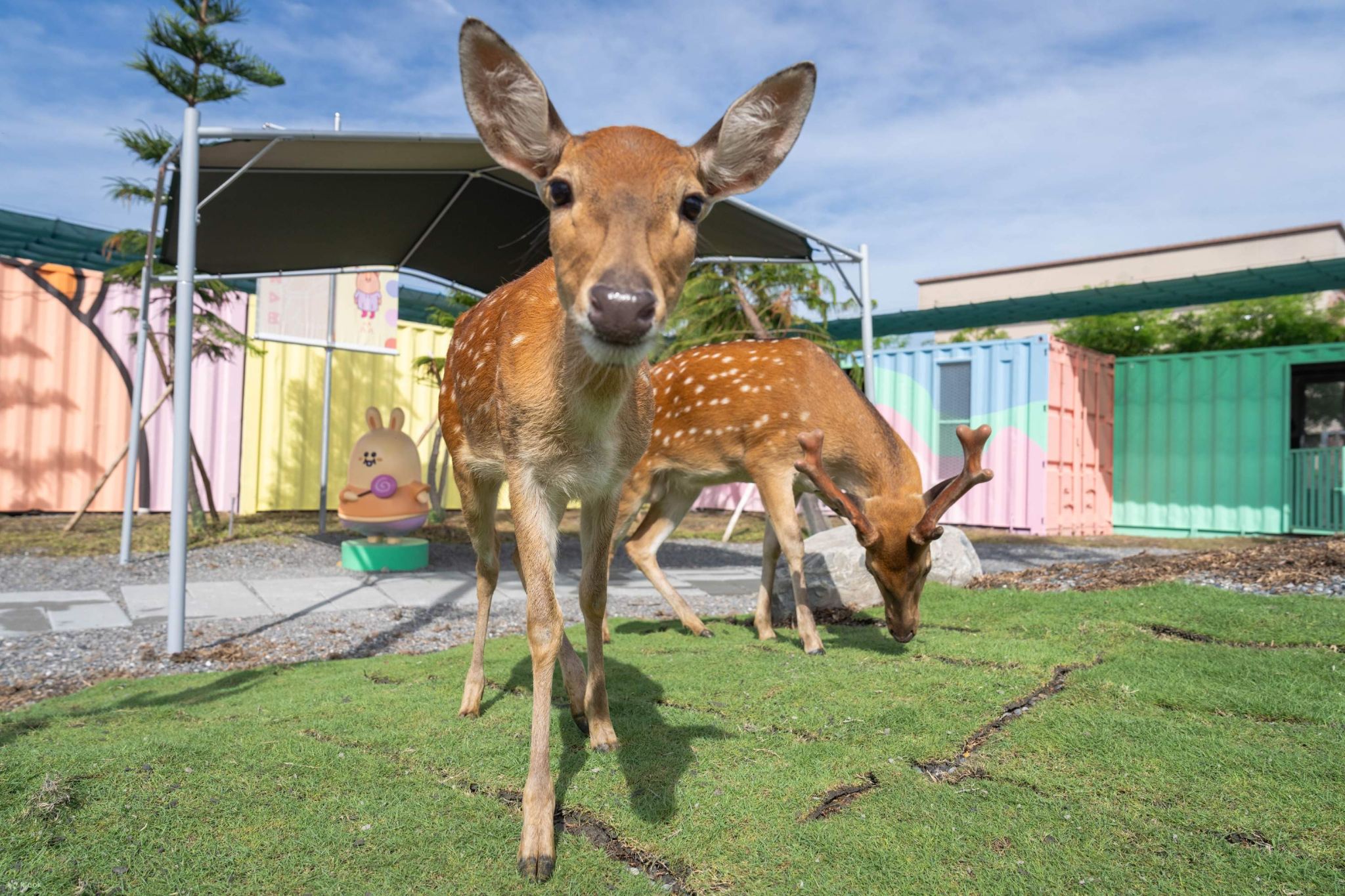 Star Dream Amusement Park + Yilan Lanyang Museum + Toucheng Old Street + Luodong Night Market [Yilan Private Charter]