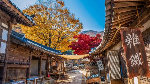 BTS Bangtan Boys Group Amy Pilgrimage Korea Seoul Star Chasing one-day tour(Same as Idols)