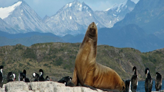 Ushuaia