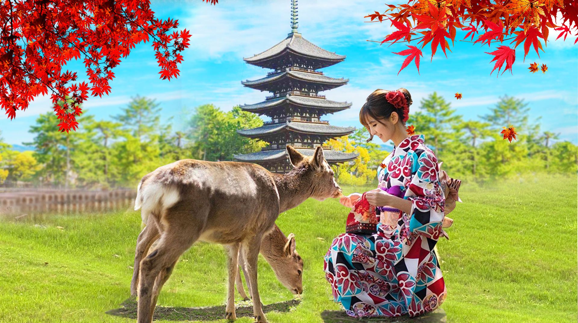 Eendaagse tour Kioto Arashiyama & Nara | Bamboebospad + Togetsukyo-brug + Nonomiya-schrijn + Nara Park