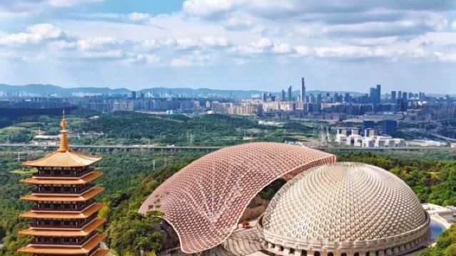 牛首山文化旅遊區+老門東歷史街區半日遊【看南京網紅大榴蓮】