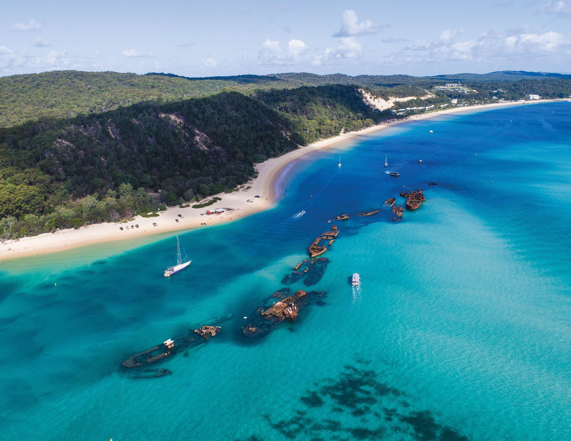 Excursión de un día a la Isla Moreton desde Brisbane [opcional con traslado desde Brisbane/Gold Coast + actividades variadas]