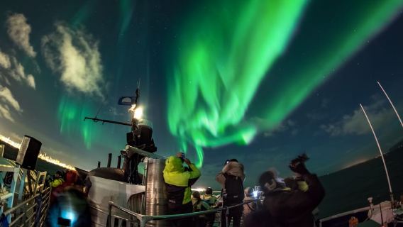 Reykjavik: Melihat Cahaya Utara Selama 2 Jam dengan Perahu dan Rencana Cadangan